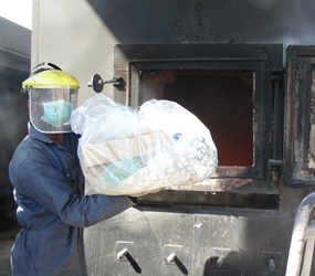 About - business 29 Pharmaceutical Services_2